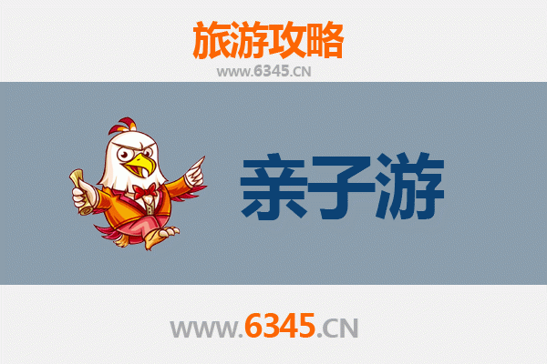 临高新盈镇亲子游攻略：渔港风情与自然探趣